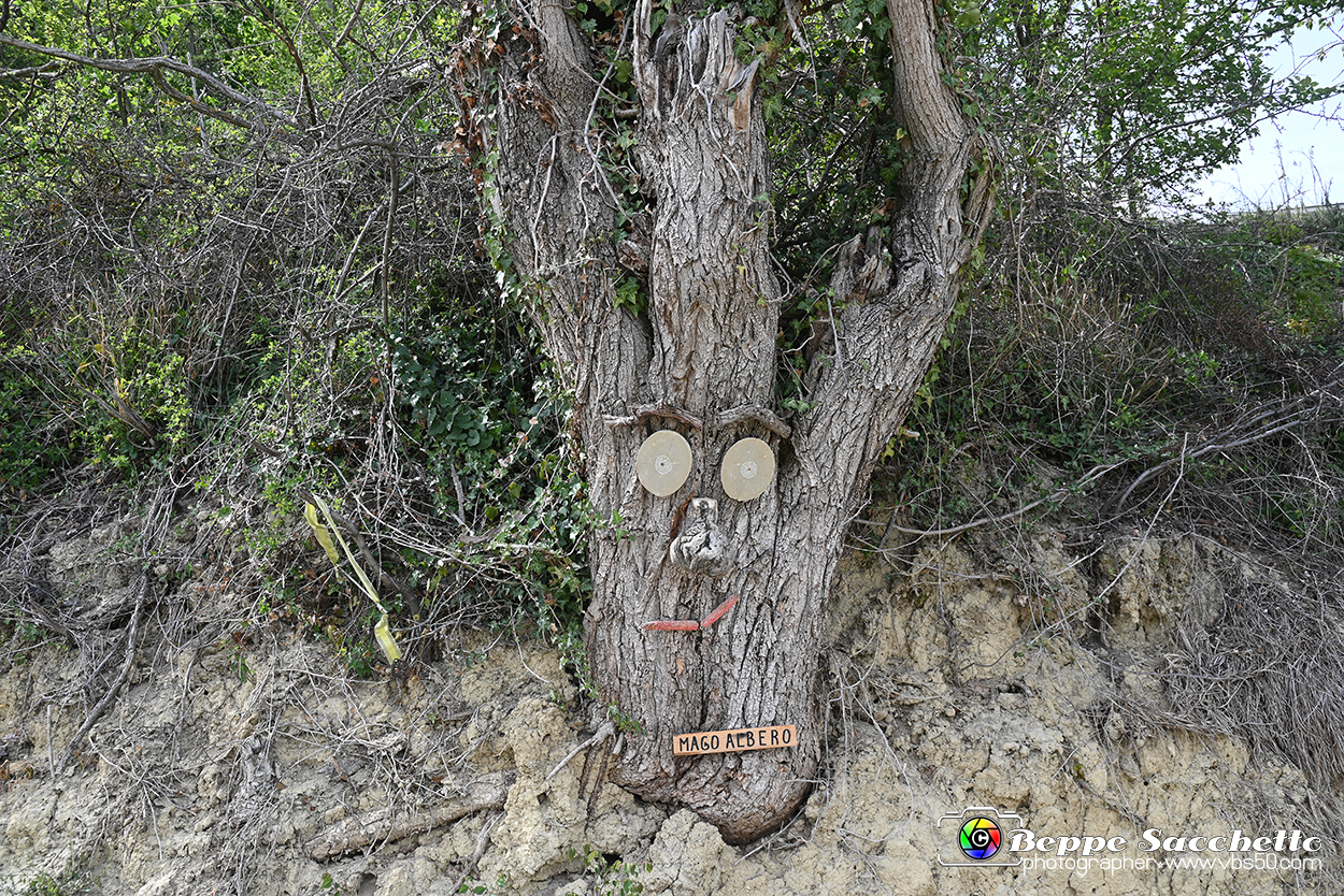 VBS_3298 - Mango (Cuneo) - Gnomovia.jpg